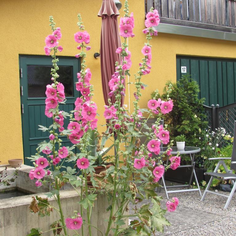 Ferienwohnung "Eifelstueffje" Mechernich Extérieur photo